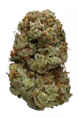 Northern Haze