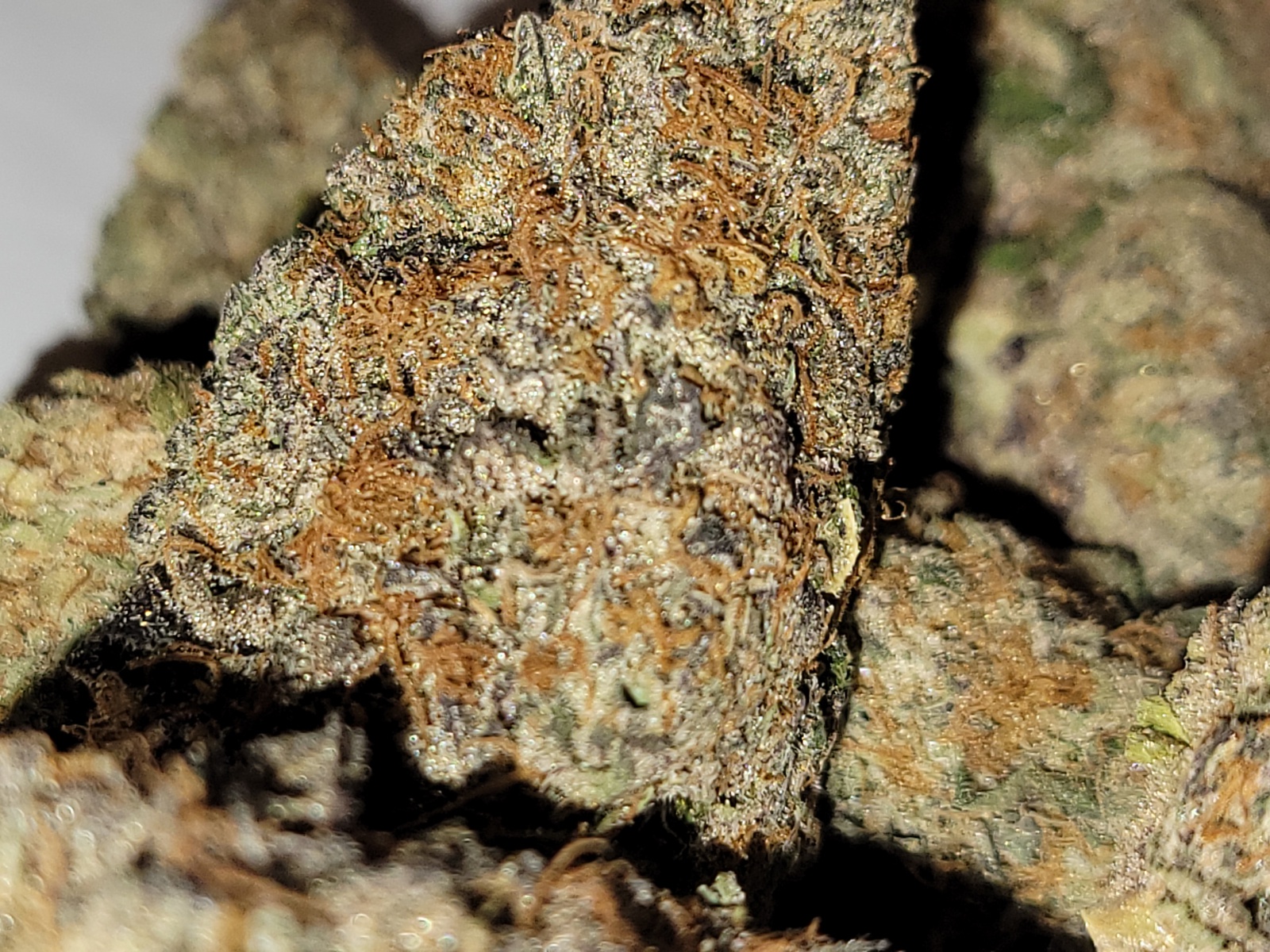 Northern Lights Haze