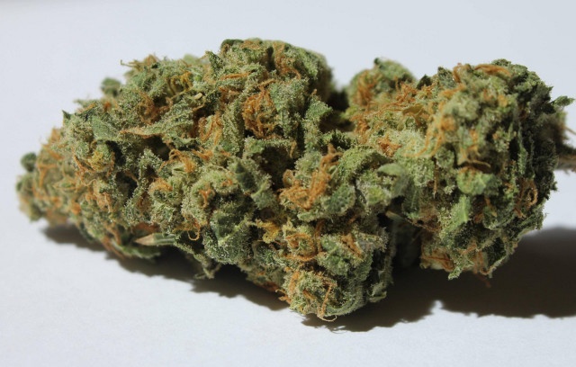 Northwest Pineapple