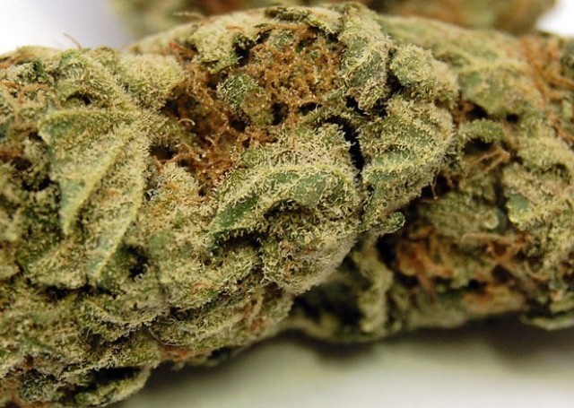 NW Fire