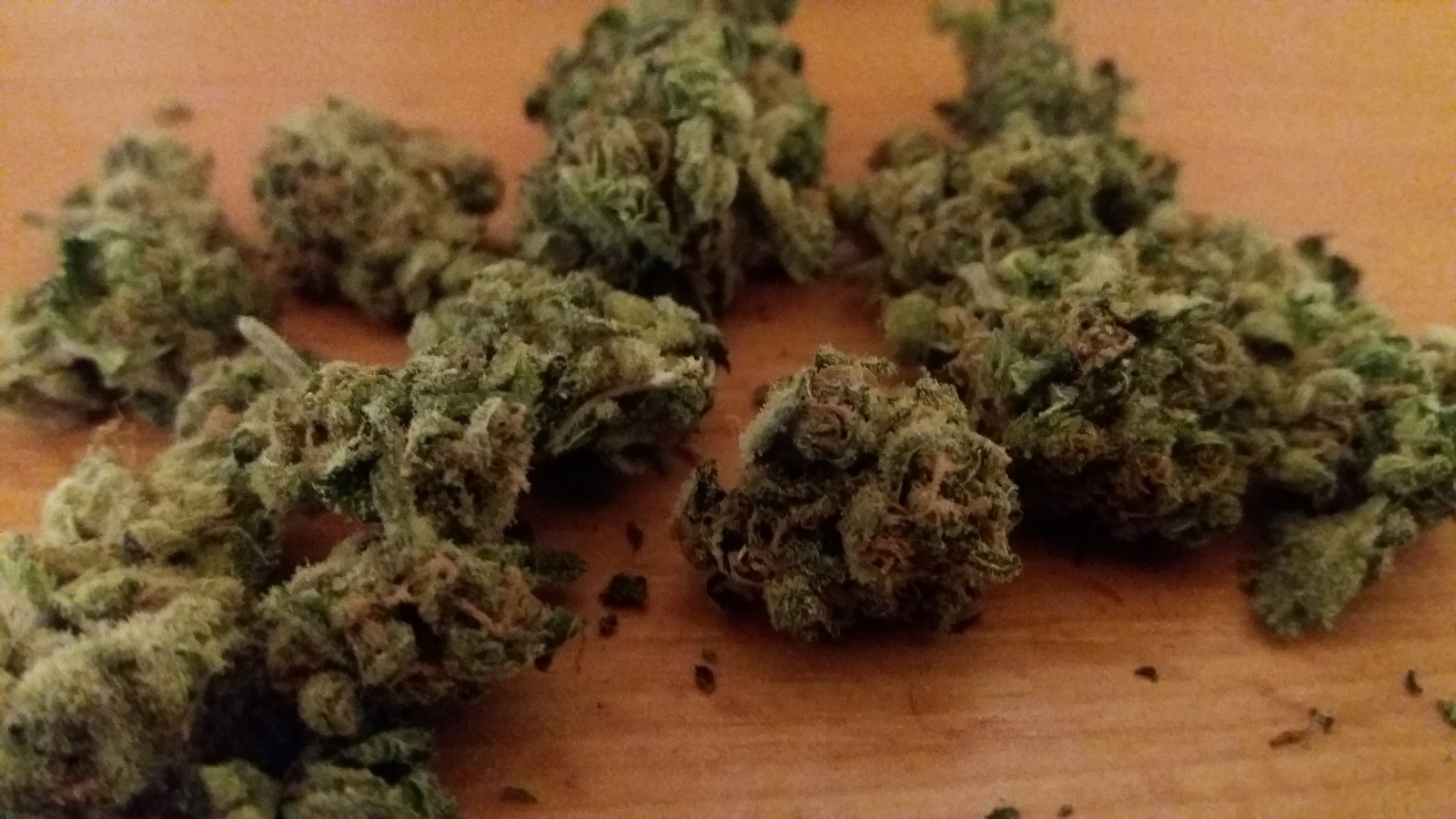 OG Cheese
