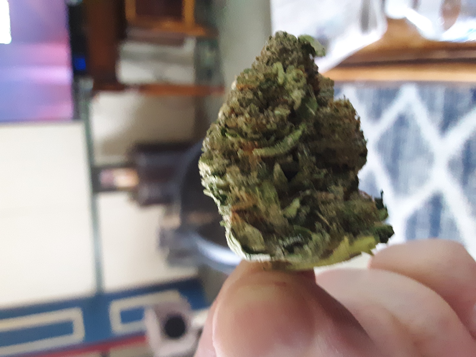 OG Lime Kush