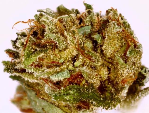 OG Limited
