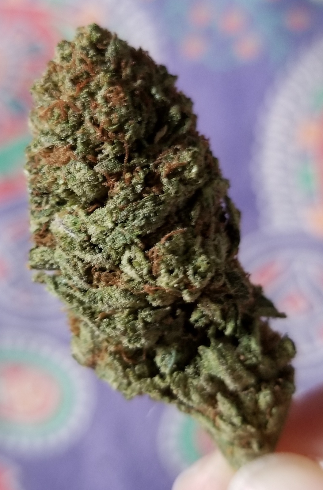 OG Matic