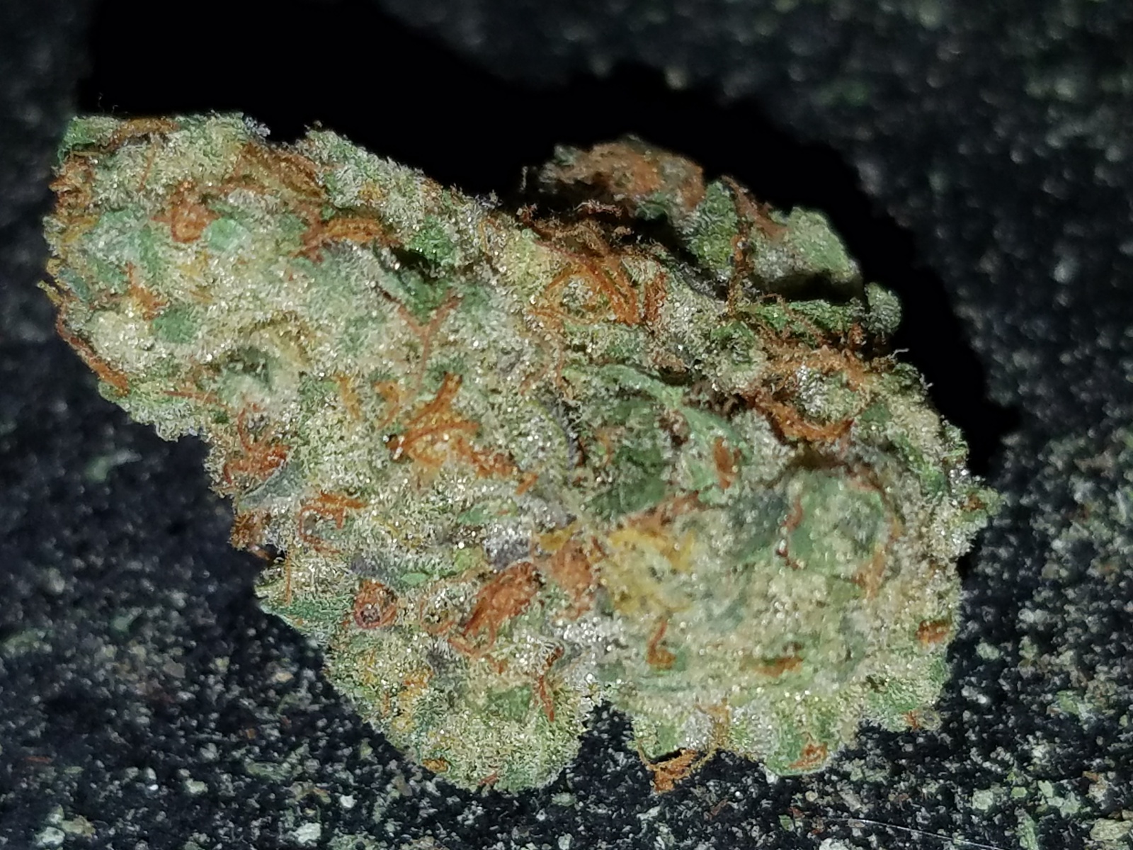 OG Wreck