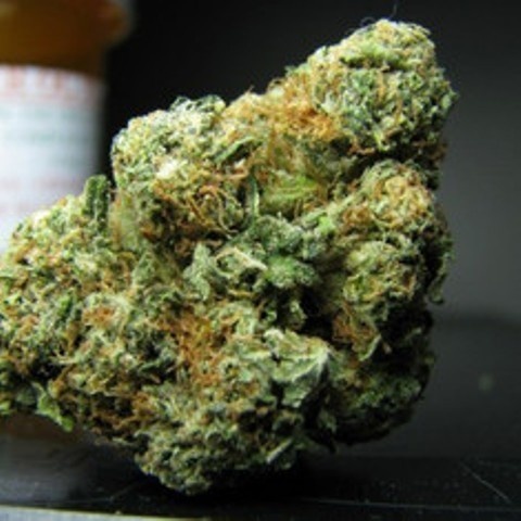 OG's Pearl