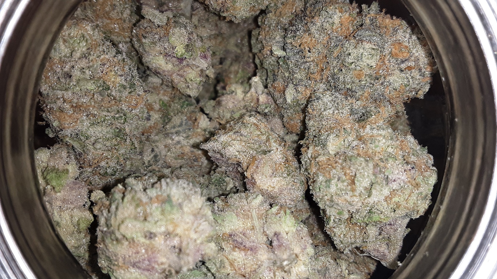 Old Family Purple