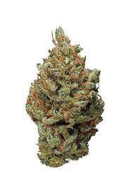 Old Mendo Haze