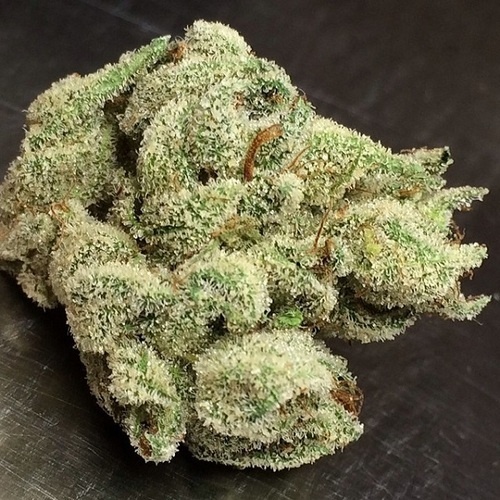 Opium