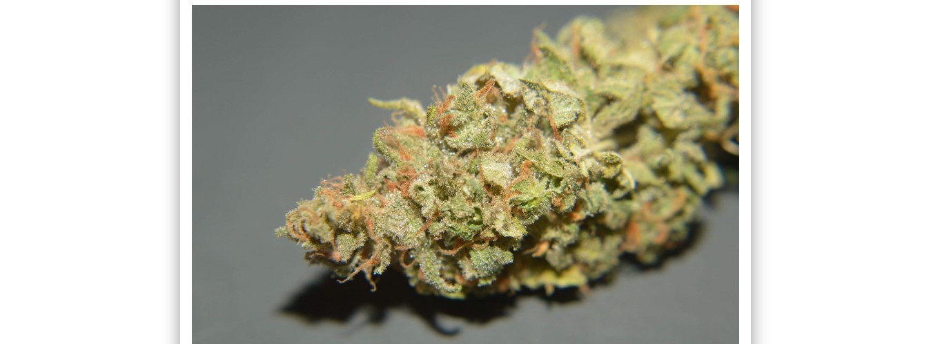 Orange Candy