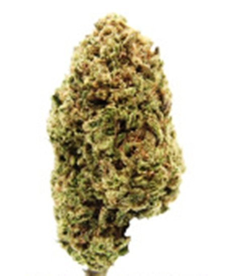 Orange Romulan
