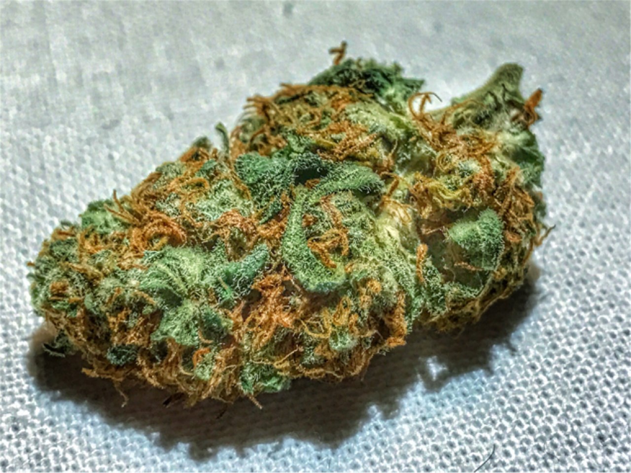 Orange Tide