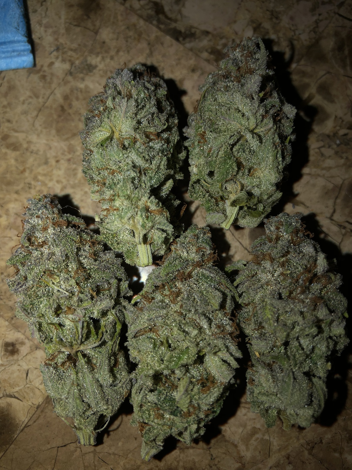 Flavorade x No Till Kings | Orange Widow | Vape Cart | 1g