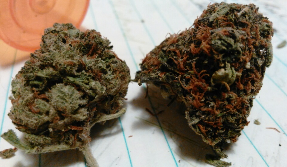 Oregon Diesel