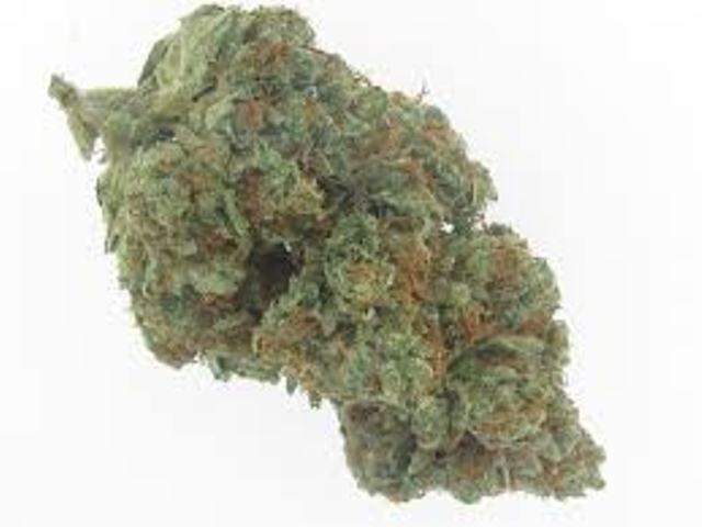 orgy kush