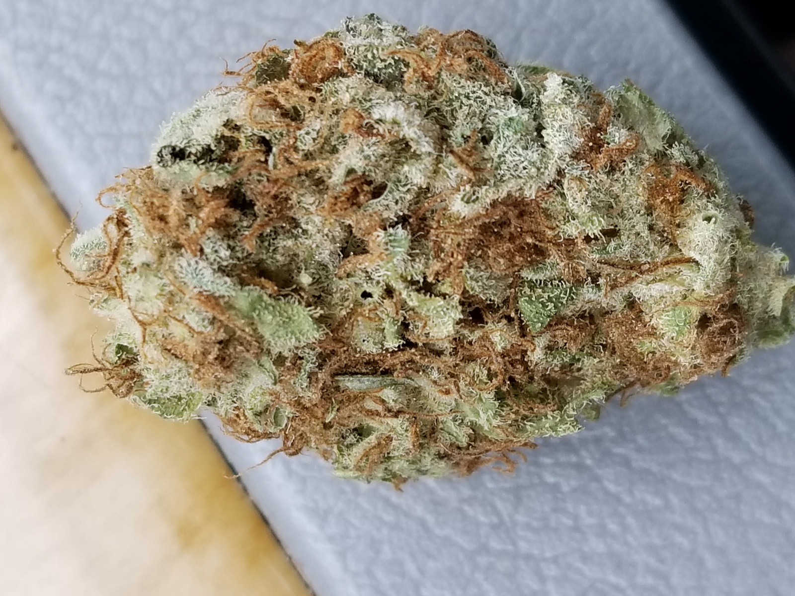 Pacific Blue