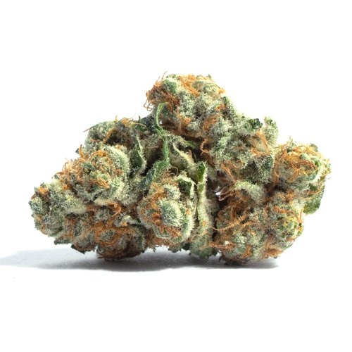 Palm Beach Sour