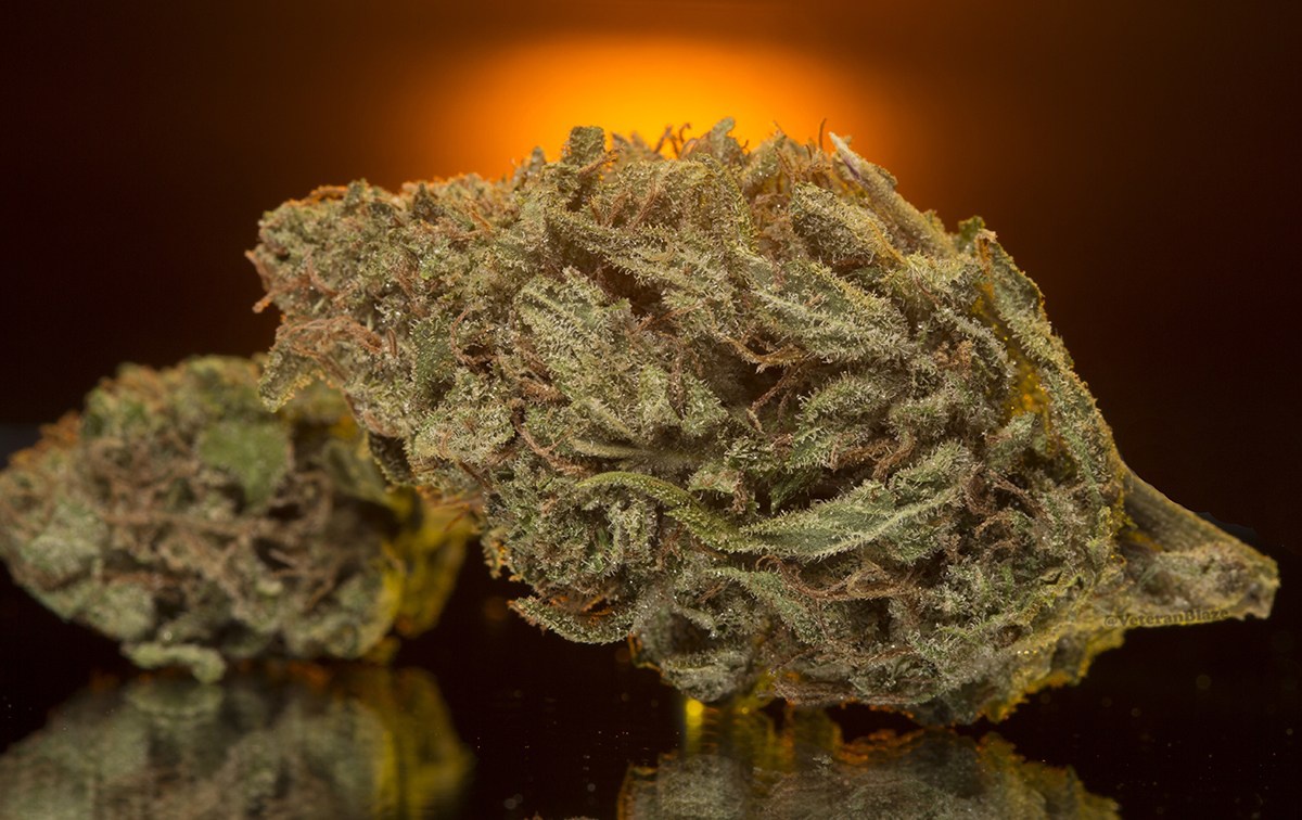 Panamango