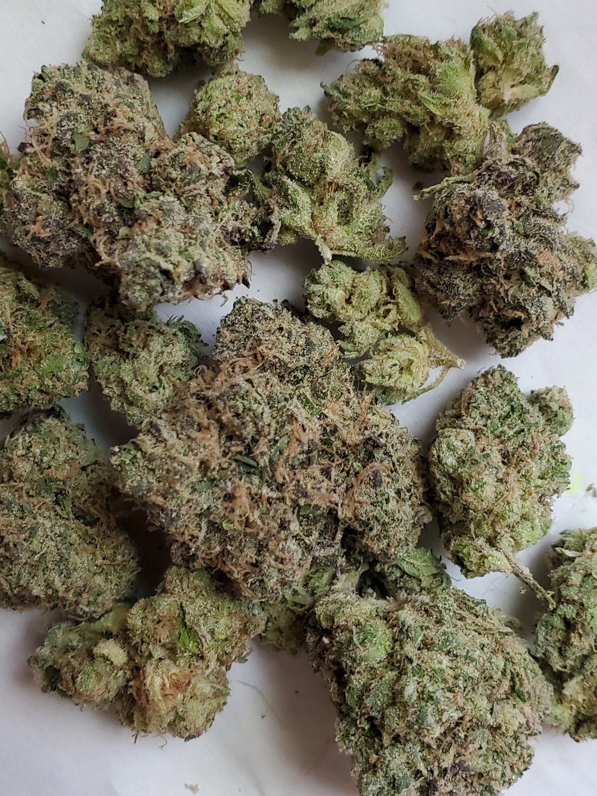 Panda Glue