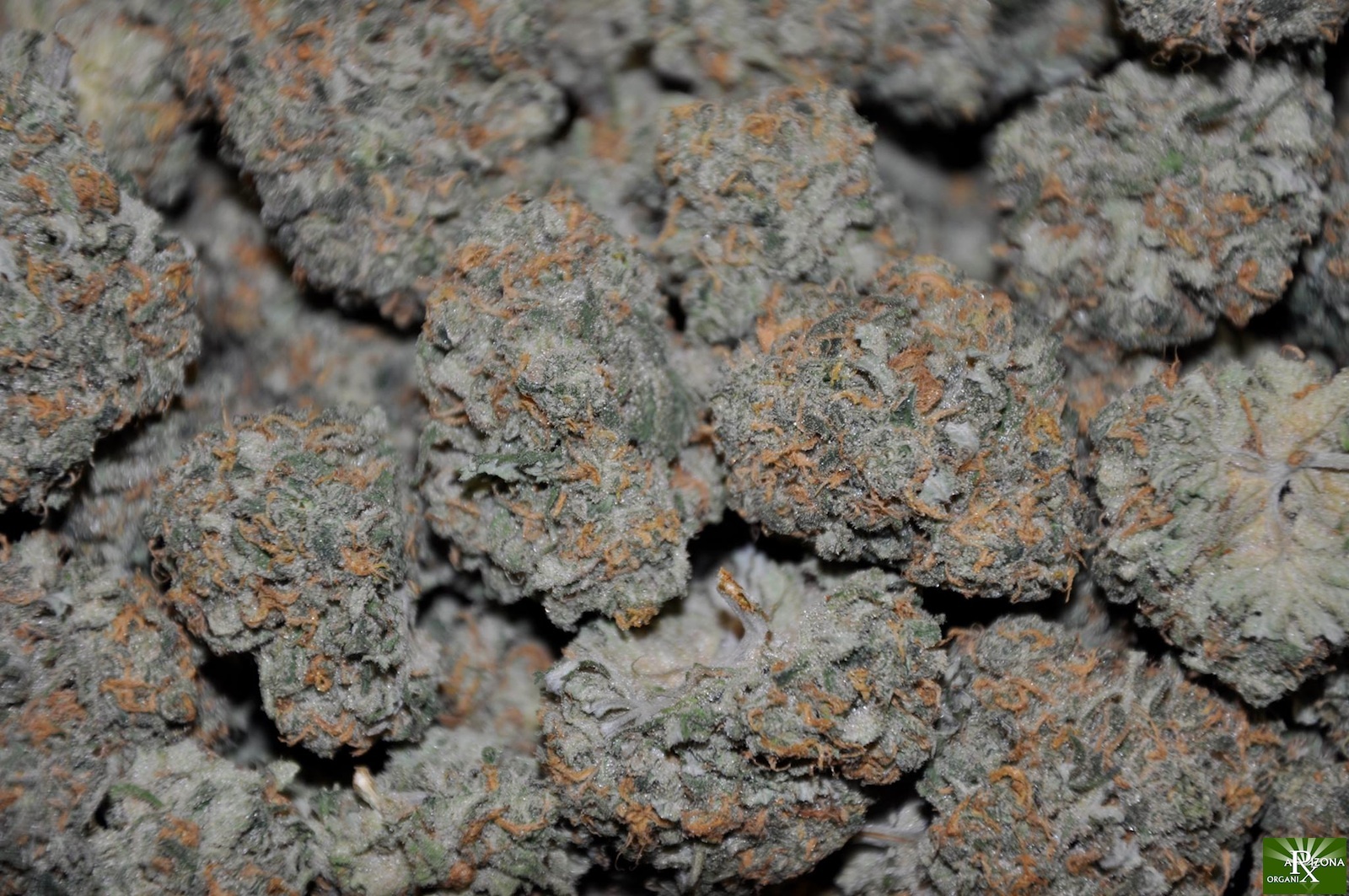 Papa's OG