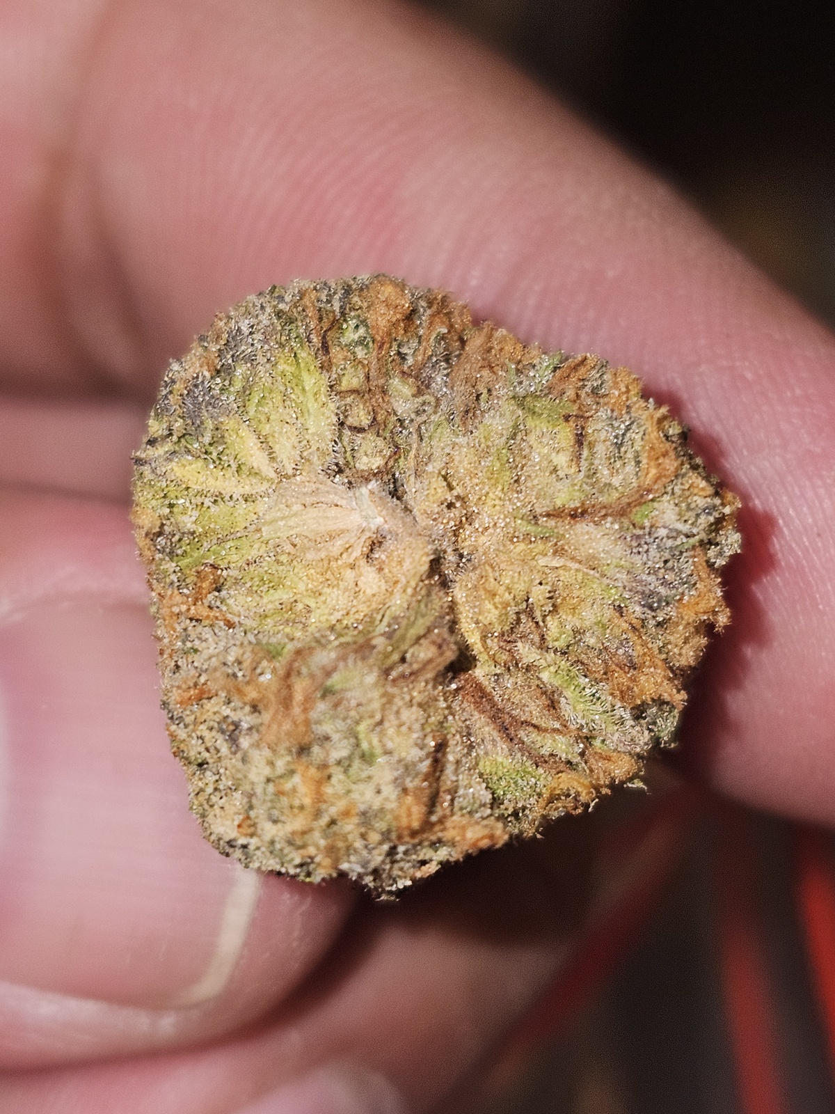 Raw Garden - PB Souffle - Live Resin
