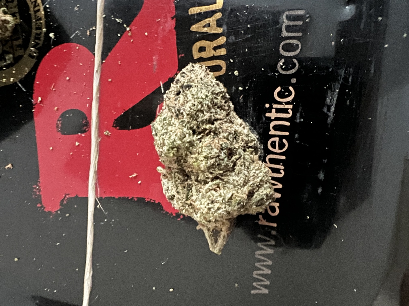 Peach Gelato