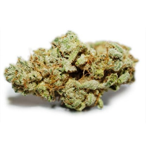 Pearl Scout Cookie