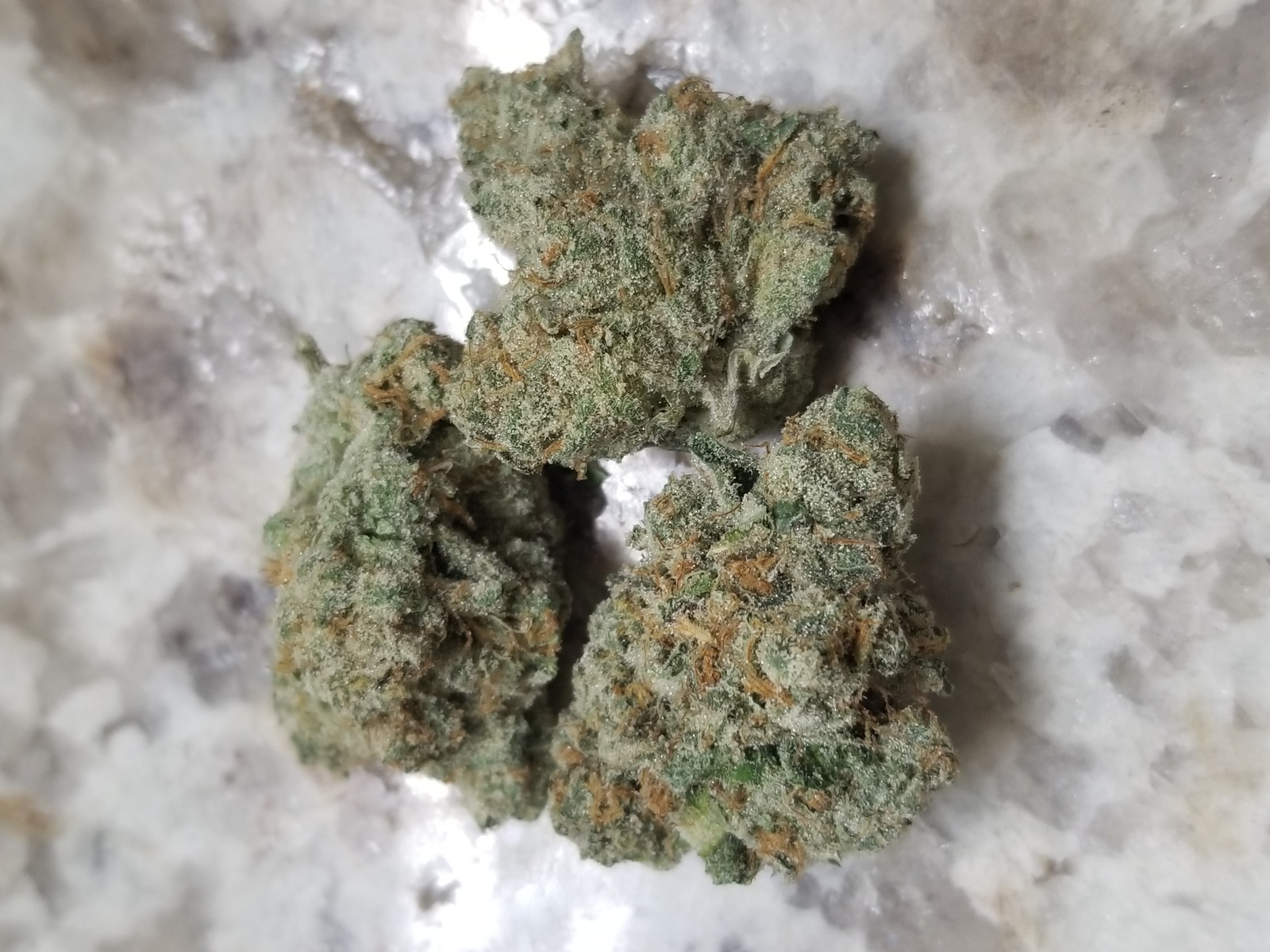 Peppermint Cookies