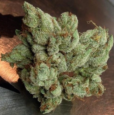 Petrol