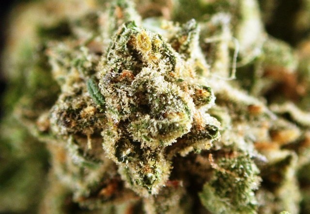 Phantom Cherry Pie