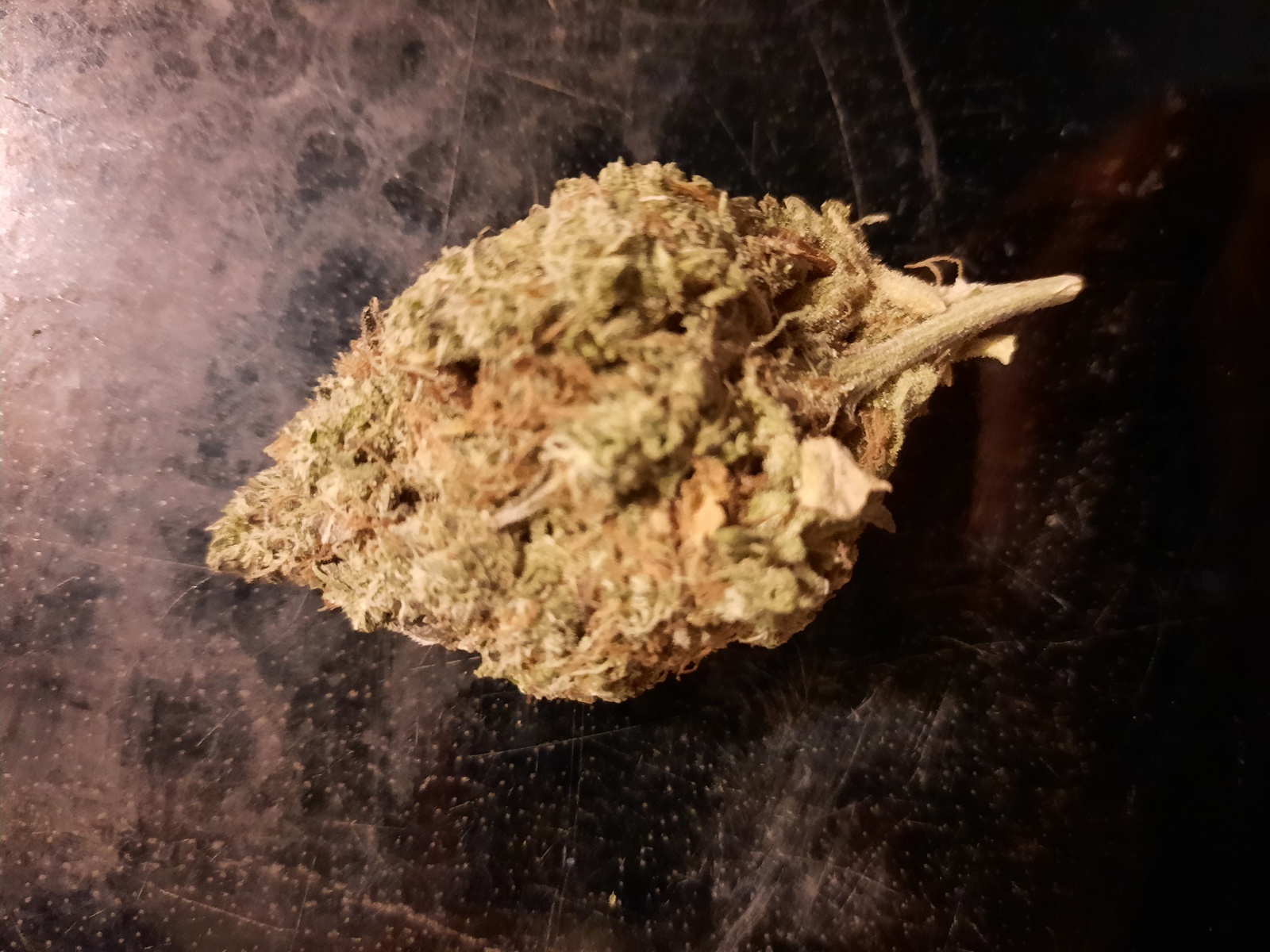 Pineapple Dream