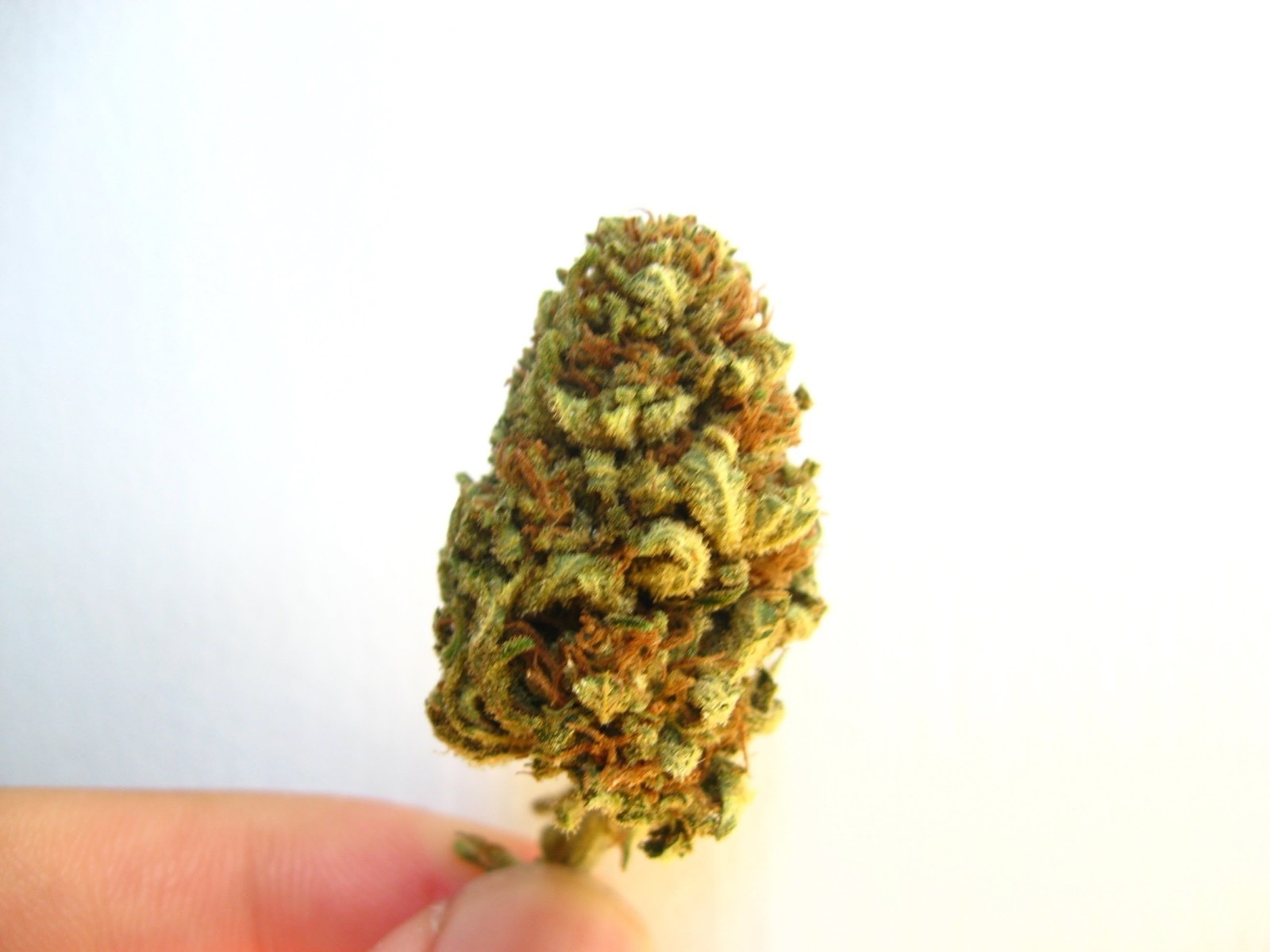 Pineapple Thai