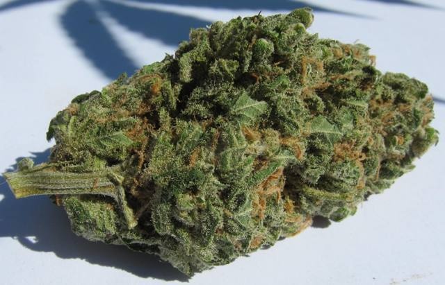 Pineberry