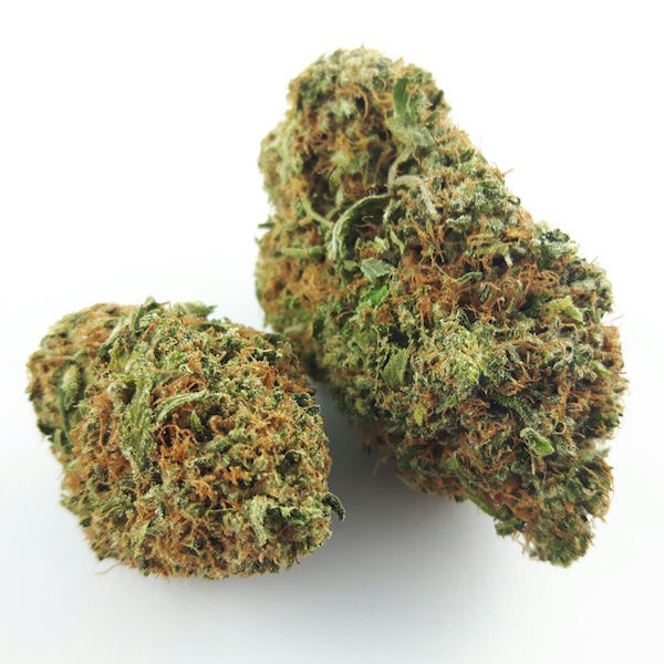 Pink Bubba
