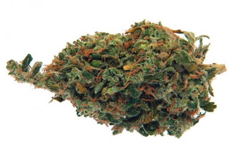 Pink Grapefruit