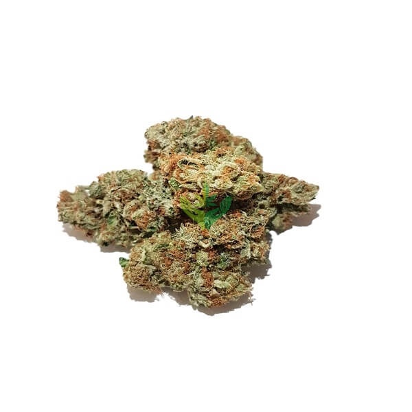 Pink Rockstar