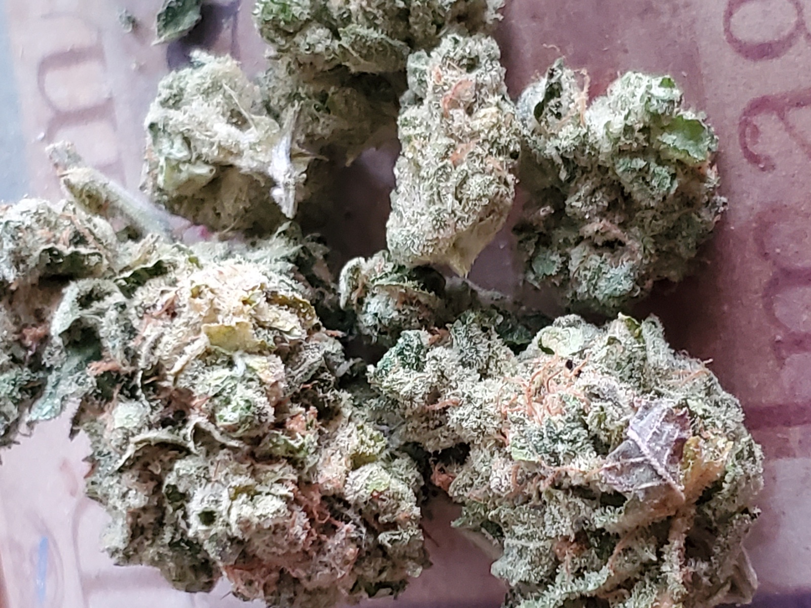 Pink Taco