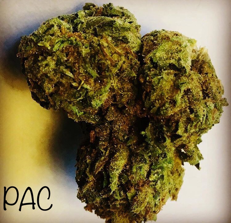 Platinum Animal Cookies