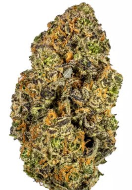 Platinum Blue Dream