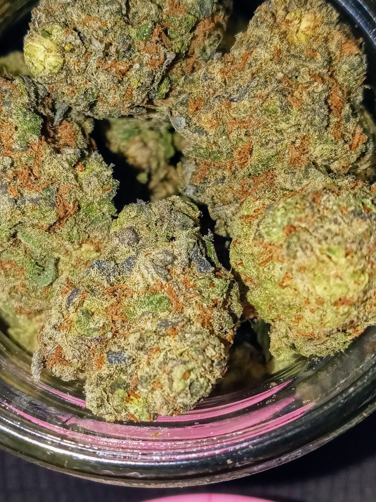 Platinum Blueberry