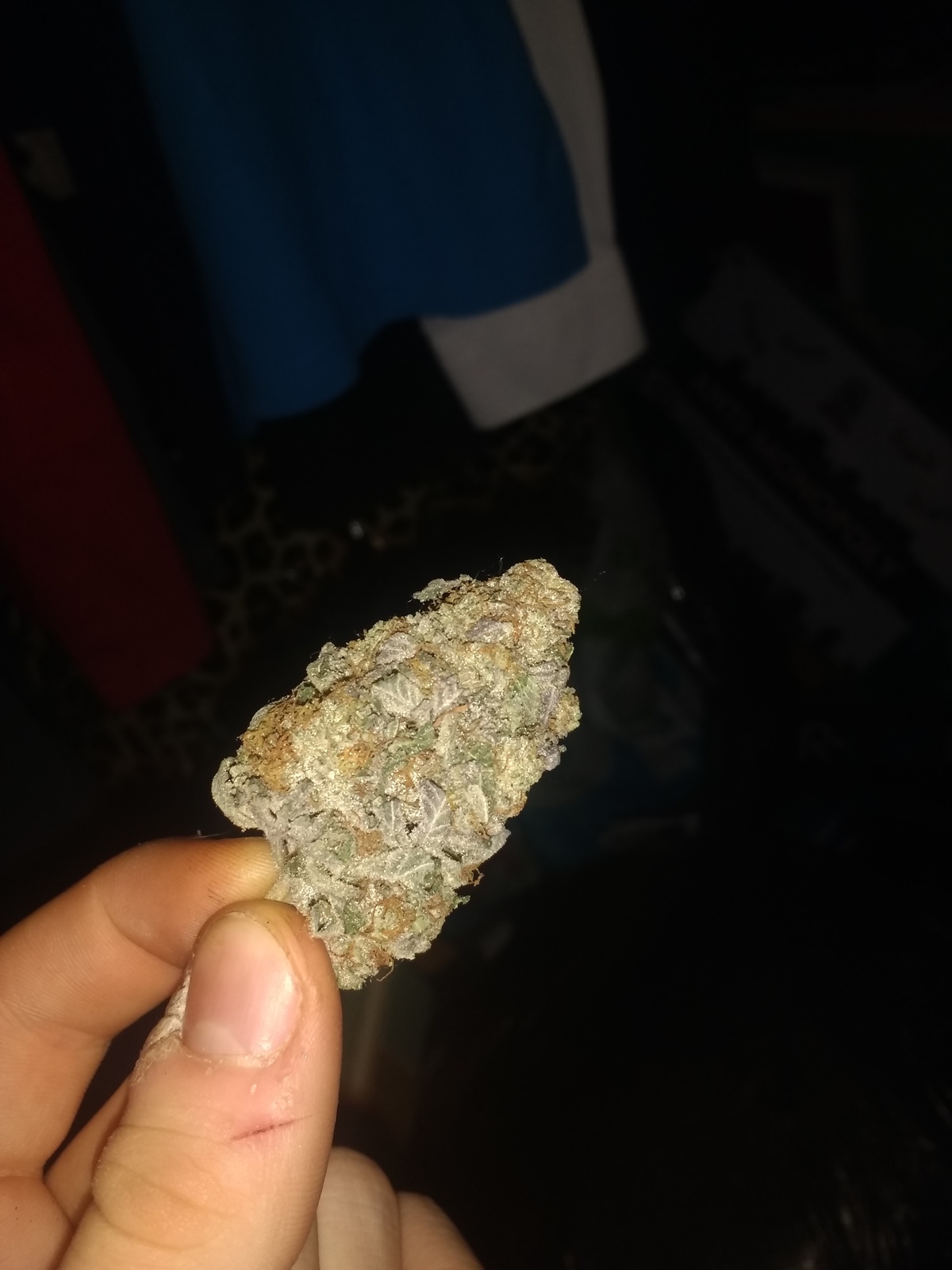 Platinum Dawg