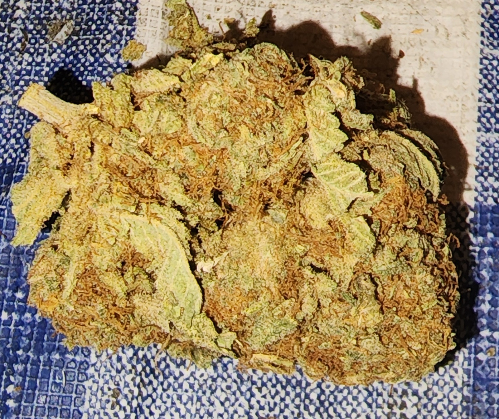 Platinum Huckleberry