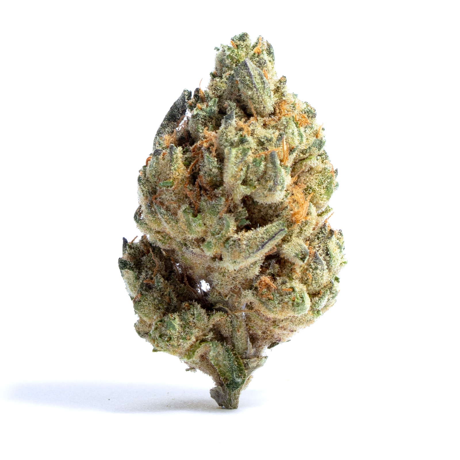 Platinum Pink