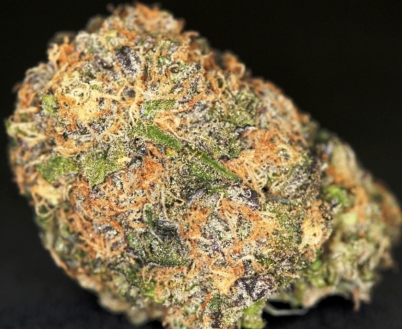 Platinum Wreck