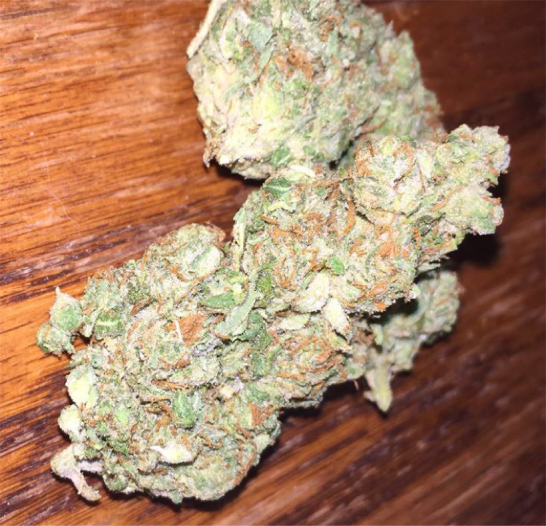 Poison Glue