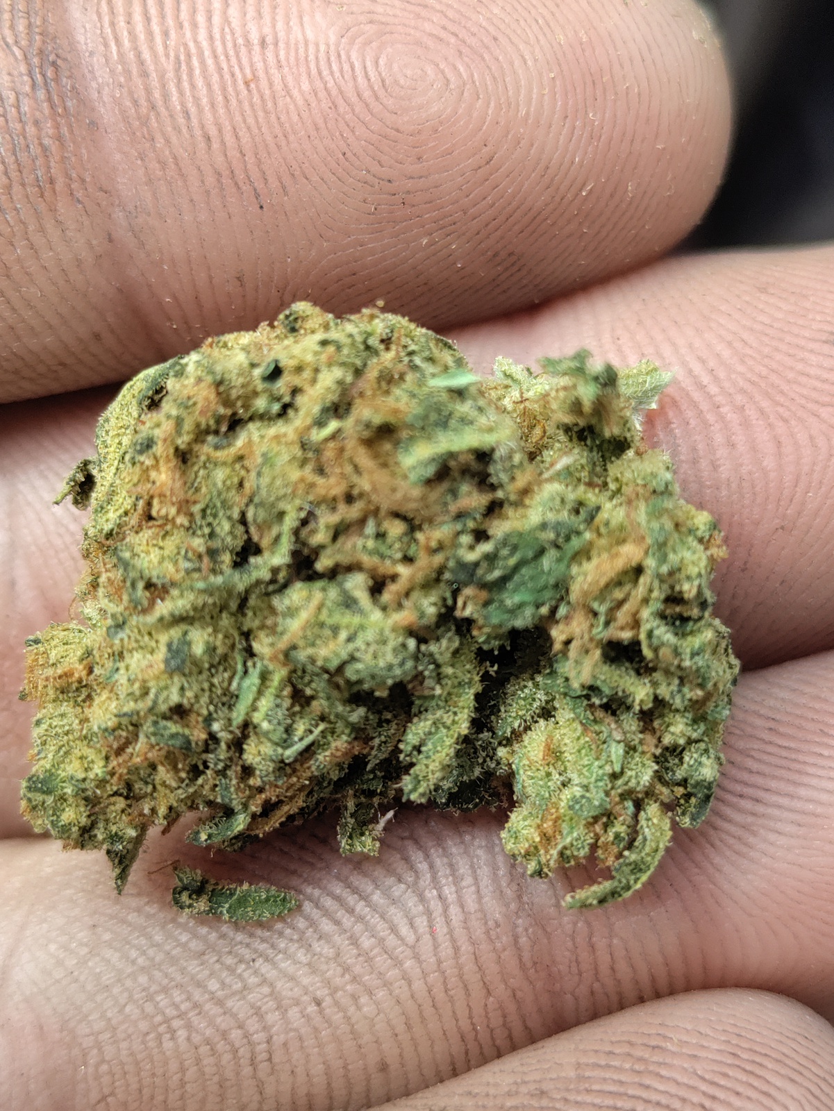 Poly Cookie Haze