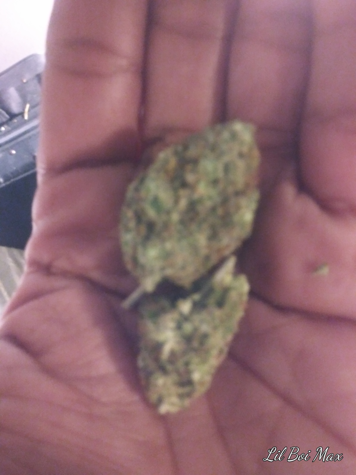 Pumpkin Kush