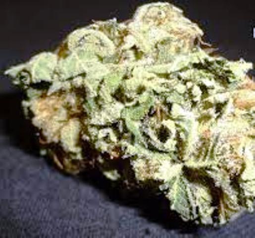 Puna Budder