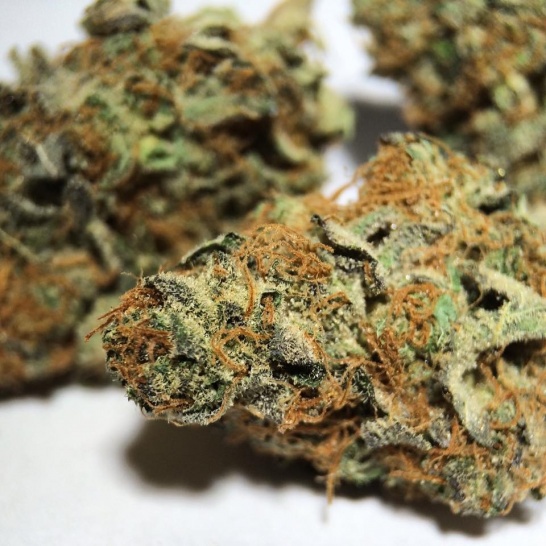 Puna Cookies