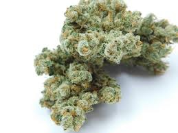 Pure Haze
